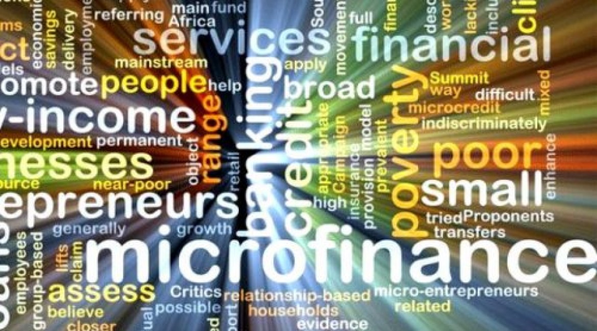 Plusy a mínusy mikrofinančních organizace